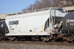 NS 294306
